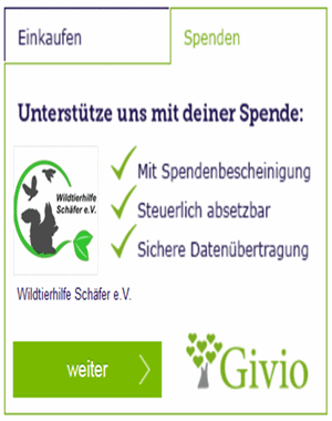Spenden mit Givio